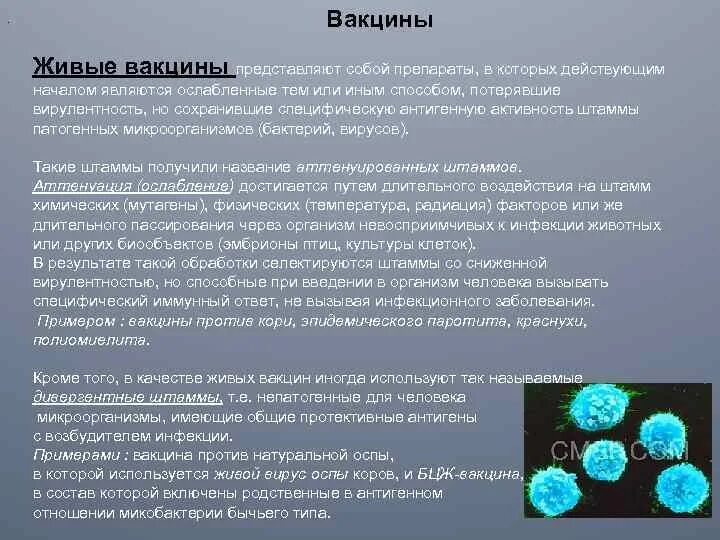 Механизм вакцин. Иммунный ответ на живые вакцины. Механизм живой вакцины. Механизм действия живой вакцины. Вакцины состоящие из живых ослабленных микроорганизмов.