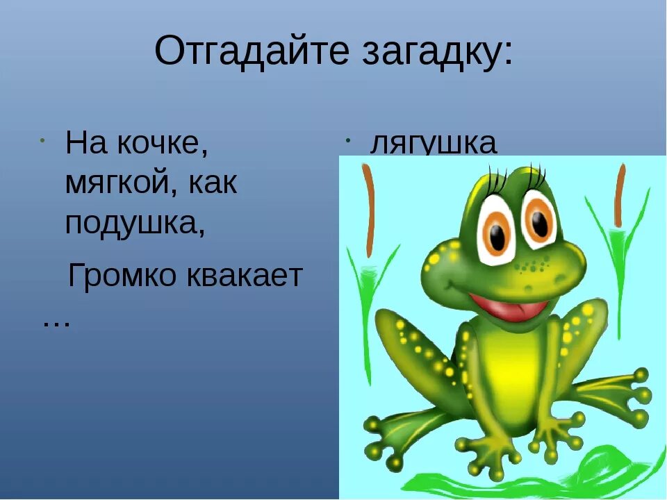 Отгадай загадку в воде