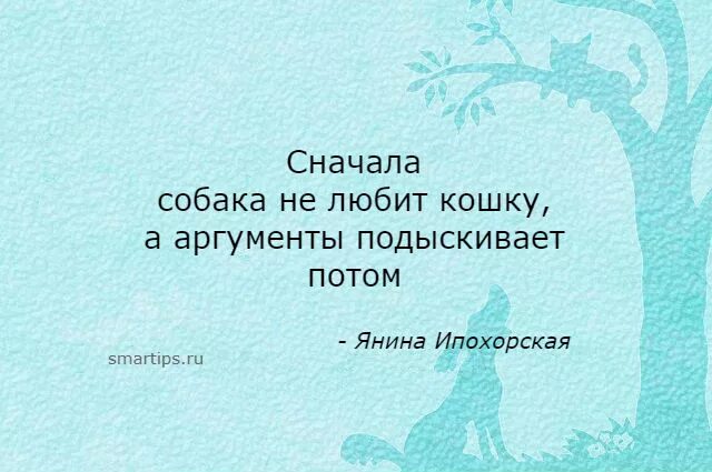 Цитаты Янины Ипохорской.