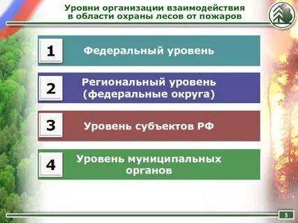Лесная охрана полномочия
