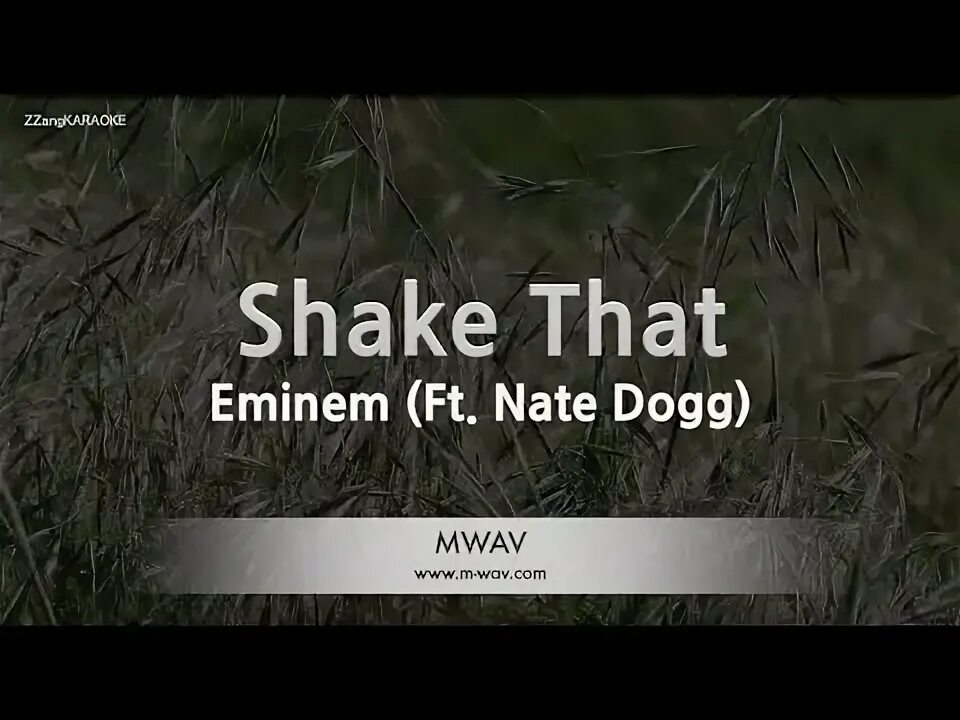 Shake that feat nate dogg. Shake that feat nate dogg