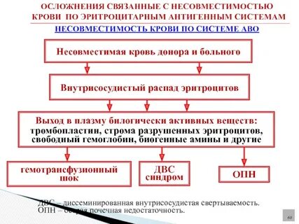 Иммунная несовместимость