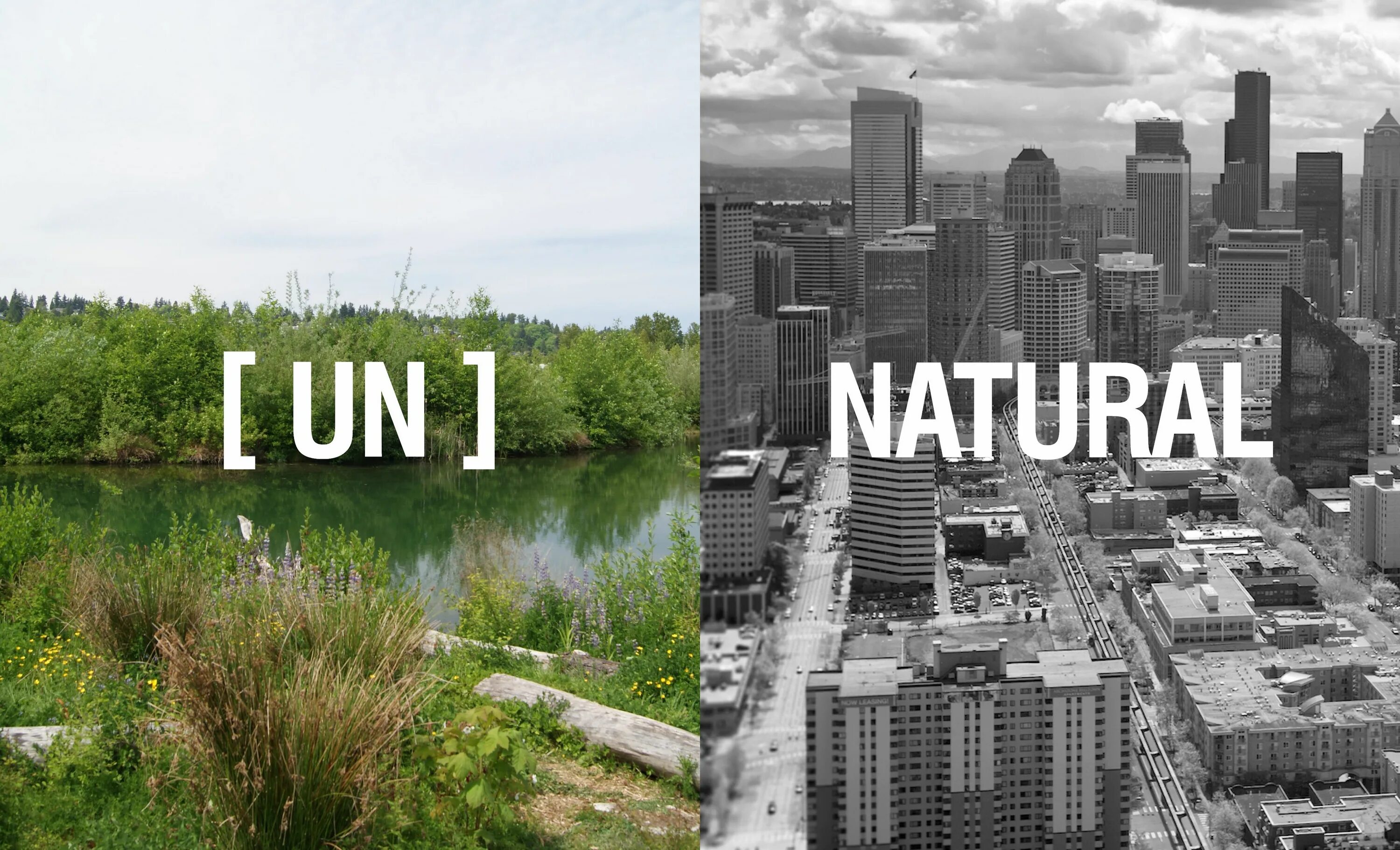 Nature Guide. Nature is a City. Urban Future Day. Un natural
