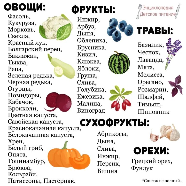 Овощи полный список. Продукты список. Список продуктов. Перечень продуктов для детей. Список продуктов список продуктов.