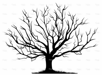 Empty branch