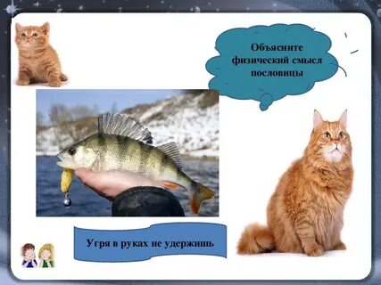 Не удержишь