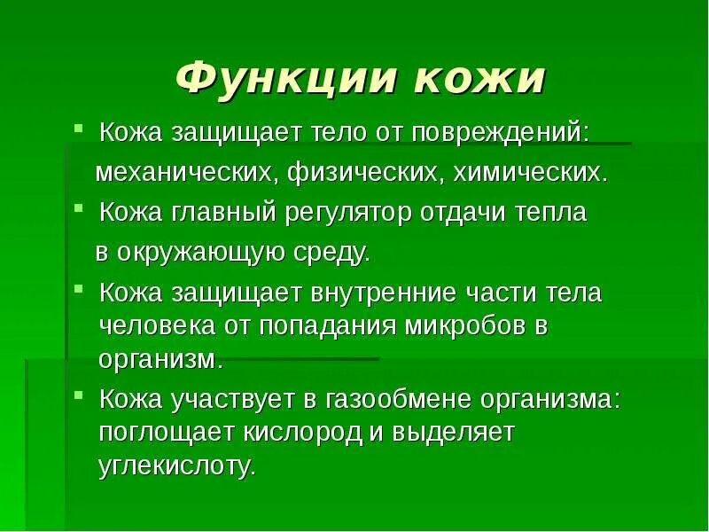 Кожа имеет площадь. Функции кожи человека 4 класс. Окружающий мир 3 кл.функции кожи. Функции кожи 3 класс окружающий мир. Функции кожи 4 класс.