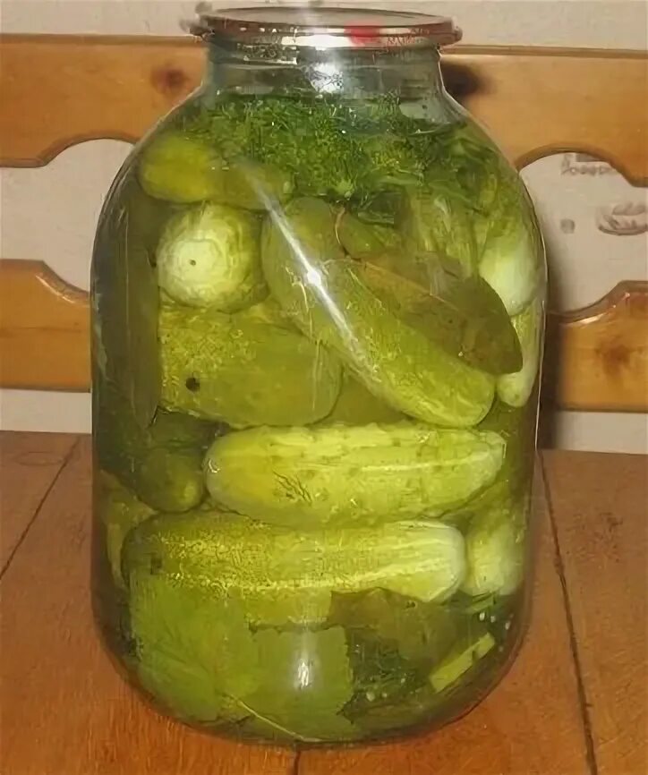 Форум огурцов. Огурцы в теплице. Пасынки у огурцов. Огурец мужской и женский. Форум огурцов.