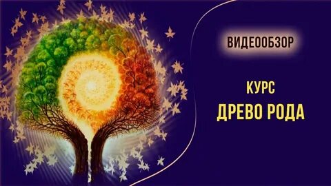 Матрица рода