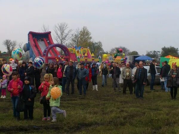 Погода в кривянской на 14. Кривянка фестиваль Покров. Станица Кривянская праздник Покров. Станица Кривянская школа 72. Станица Кривянская Новочеркасск.