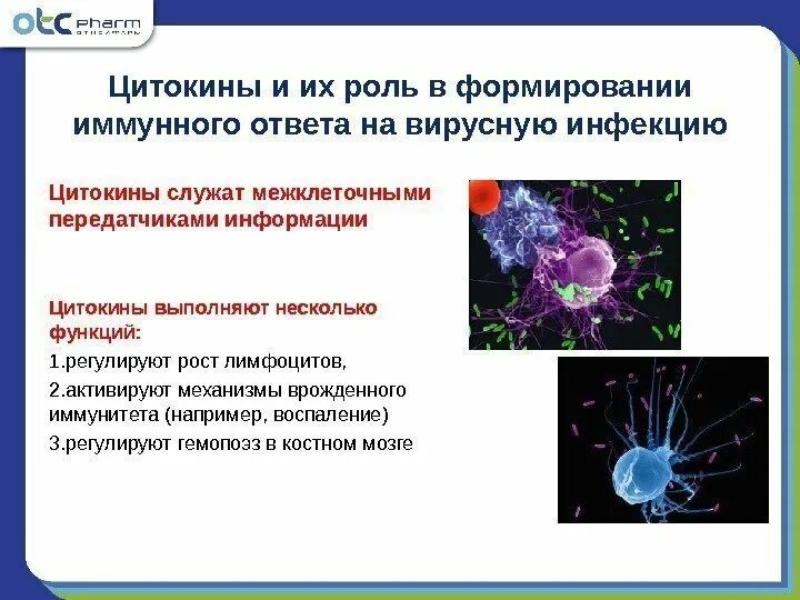 Роль в иммунных реакциях. Цитокины гуморального звена иммунной системы. Цитокины интерфероны иммунология. Цитокины функции. Цитокины и иммунный ответ.