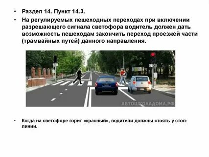 Сколько метров от перехода можно переходить