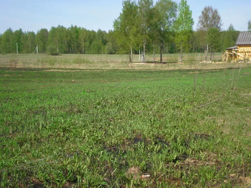 периметр участка 50 соток. участок 50 соток. участок 100 соток. участок 50 соток. участок 50 соток.