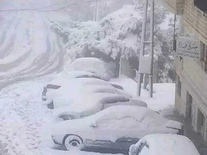 В январе обильный снегопад накрыл