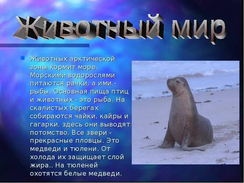 Окружающий мир сообщение о зонах арктических пустынь. Зона арктической пустыни 4 класс окружающий мир. животные зоны арктических пустынь 4 класс. животные арктической зоны. презентация на тему арктика.