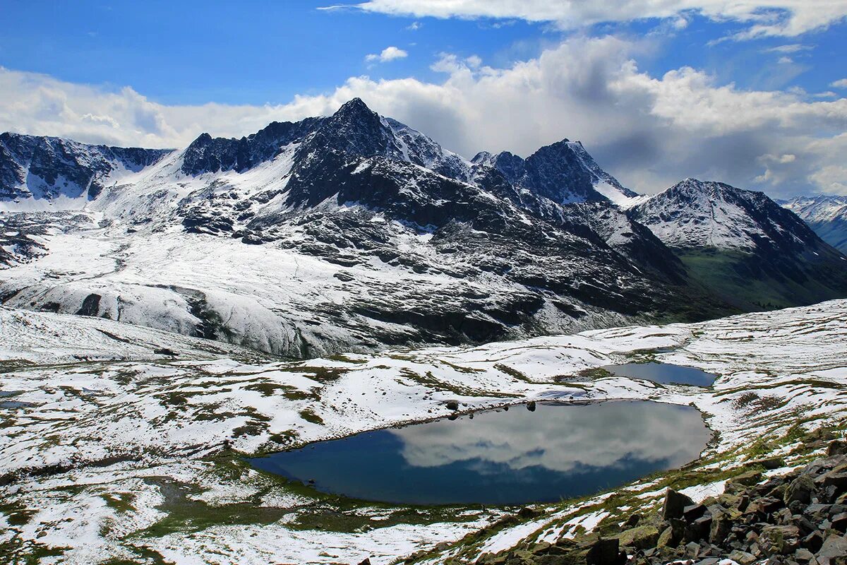Самая высокая вершина сибири гора. Белуха горный Алтай. Гора Белуха. Гора Белуха, горный Алтай. Самая высокая гора Алтая Белуха.