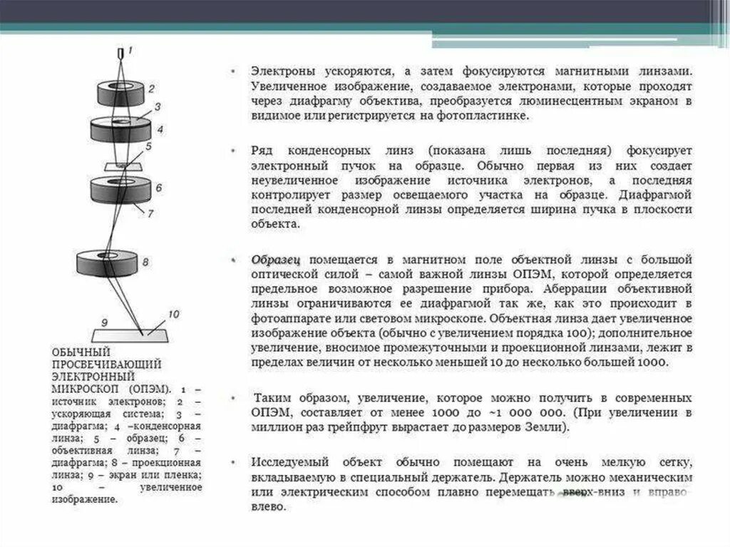 Во сколько раз увеличивается микроскоп. Конденсорная линза электронного микроскопа. магнитная линза электронного микроскопа. конденсорная линза микроскоп магнитная. конденсорные линзы в электронной микроскопии.