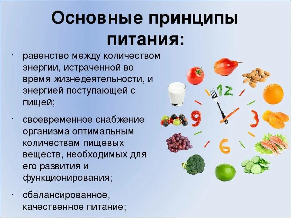 Питание здорового человека должно быть. Основные принципы питания. Основные принципы здорового питания. Принципы правильного пропитания. Принципы рационального питания.