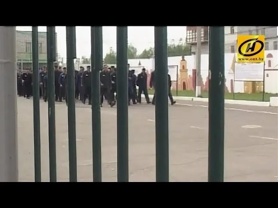 Амнистия в беларуси 2022. Амнистия в рб. Амнистия в рб. Амнистия беларусь. Амнистия в рб.