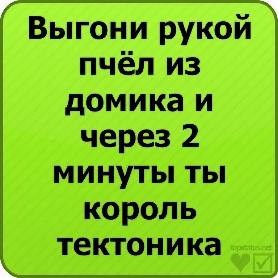 Смешные статусы в ВК. Крутые статусы. Крутые статусы в ВК. Крутые статусы прикольные. Лучшие статусы в вк