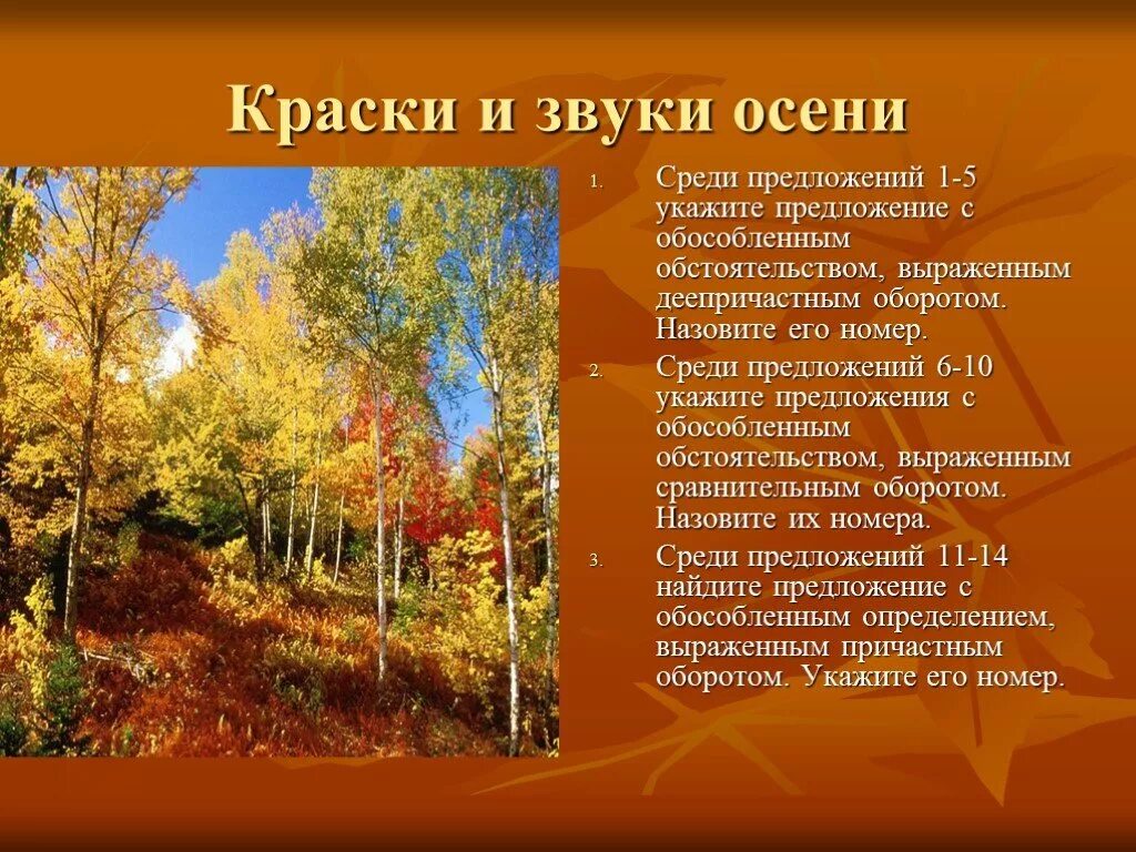 5 класс осень предложения. Пять предложений на тему осень. Звуки осени сочинение. Предложение про краски осени. Предложения про осенний лес.