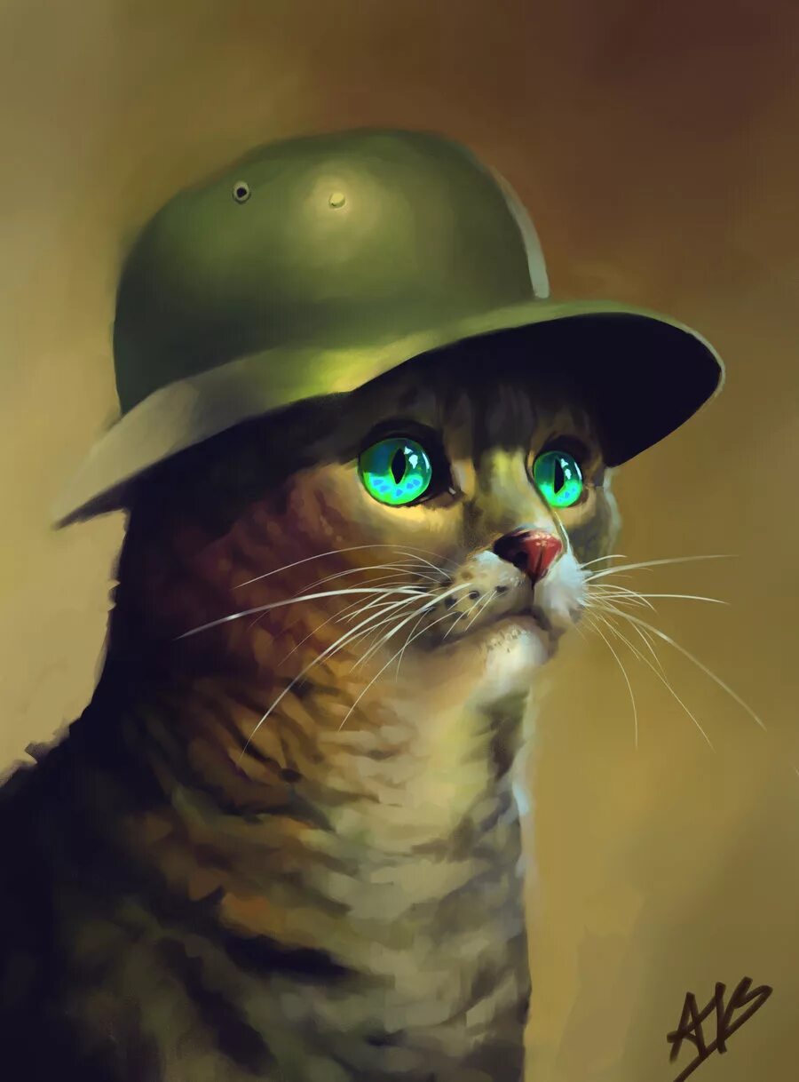 Военный вацап. Кот военный. Кот в каске. Кот в военной форме. Котик в каске военной.