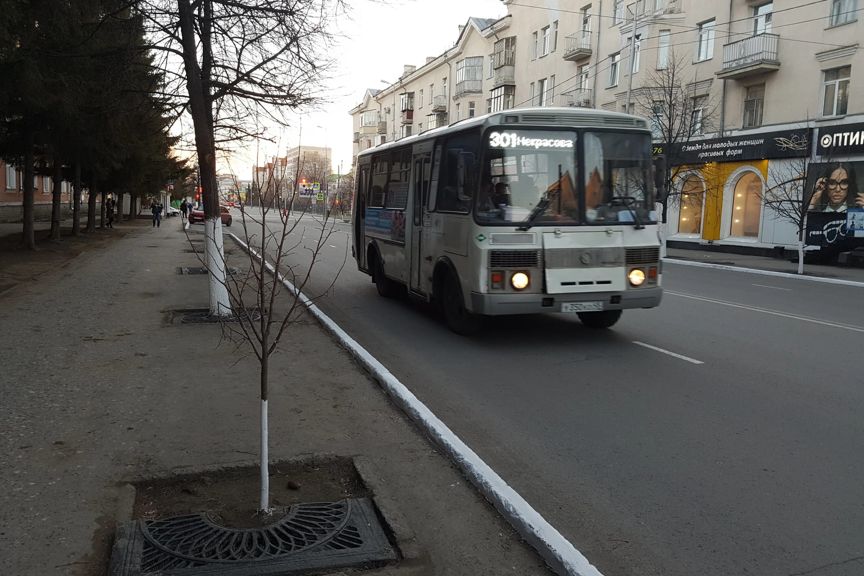 56 автобус курган. Перед ПАЗИКОМ. Курган автобус 243. МКУ транспортное управление Курган. Общественный транспорт Тюмень.