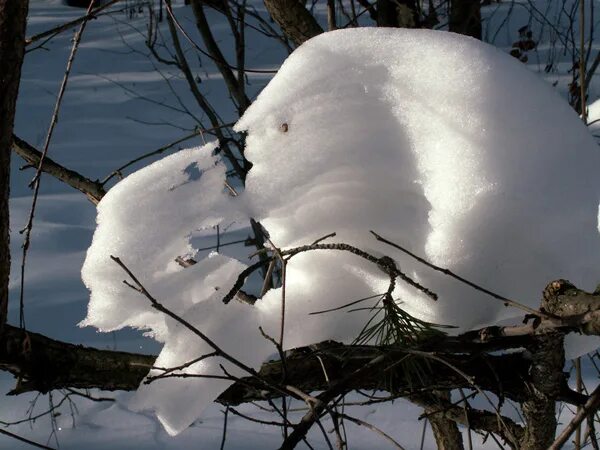 Летопись зимы. Летопись зимы. Летопись зимы. Всеволод иванов картины ведическая русь гиперборейцы. Февральский денек.