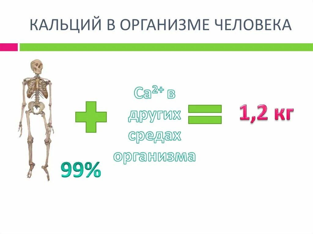 Кальций в организме человека. Кальций в организмееловека. Содержание кальция в организме человека. Кальций в человеческом организме.