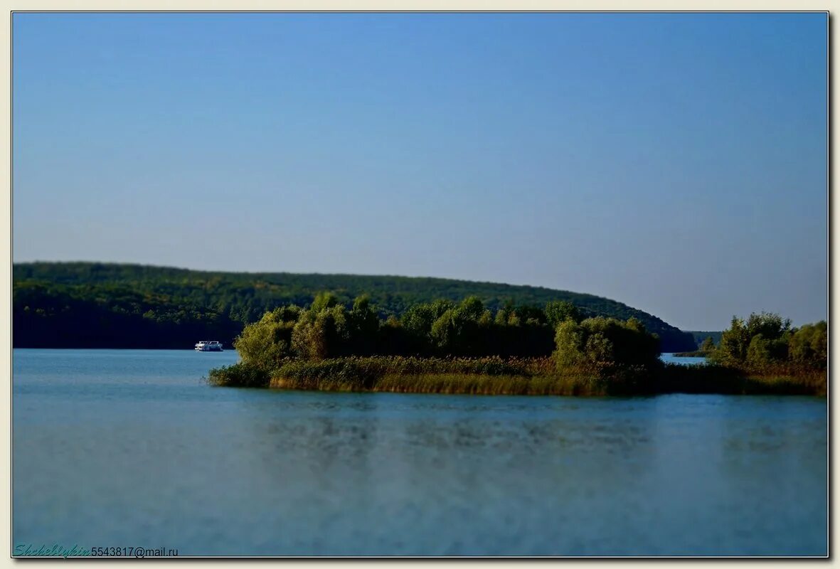 Донец белгородская область. Донец белгородская область