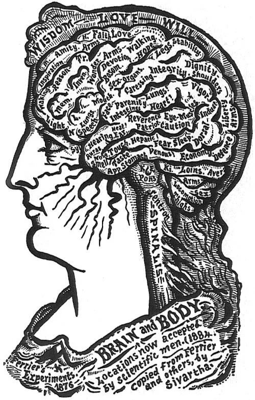 Древнее изображение мозга. Карта мозга. Мозг человека карточка. Древний мозг человека психология. Brain карта