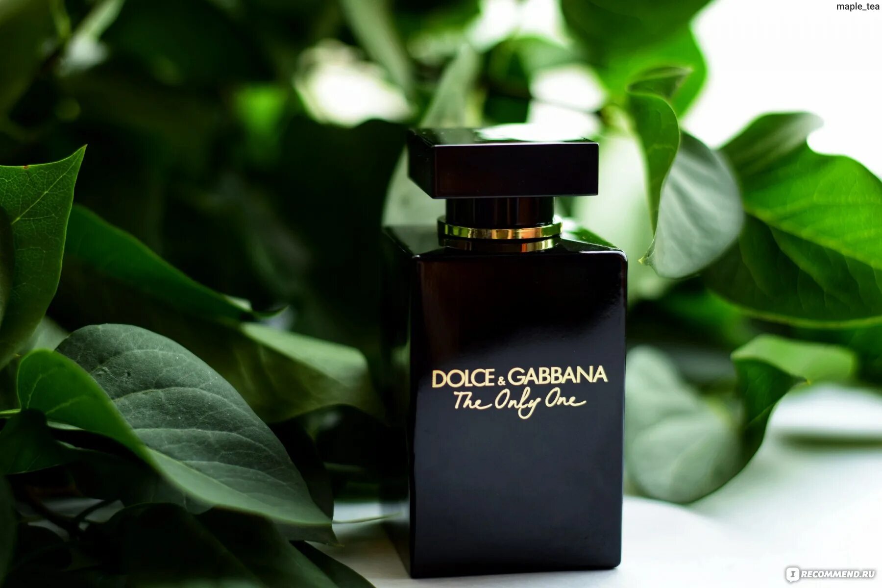 Дольче габбана ван отзывы. Дольче Габбана Онли Интенс. Dolce Gabbana the only one intense. Dolce Gabbana the only one intense женские. Духи Дольче Габбана Онли уан.