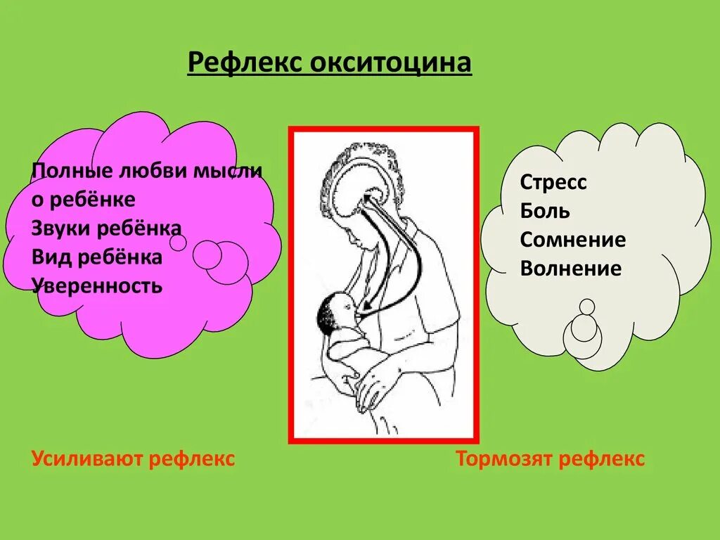 Рефлекс окситоцина. Стимуляция рефлекса окситоцина. Рефлекс окситоцина грудное вскармливание. Фактор усиливающий рефлекс окситоцина.