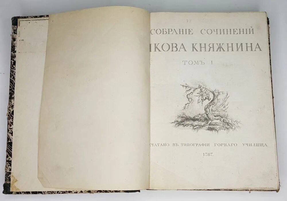Анализ содержание текста княжин был новым