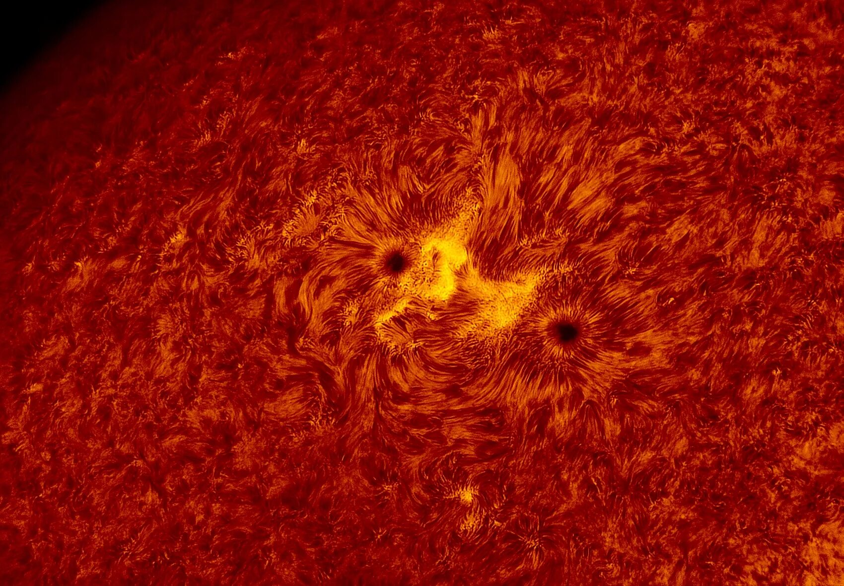 Sun processing
