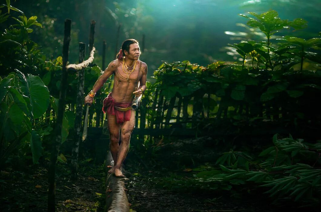 Негритянка в джунглях. Человек в джунглях. Жизнь в джунглях.