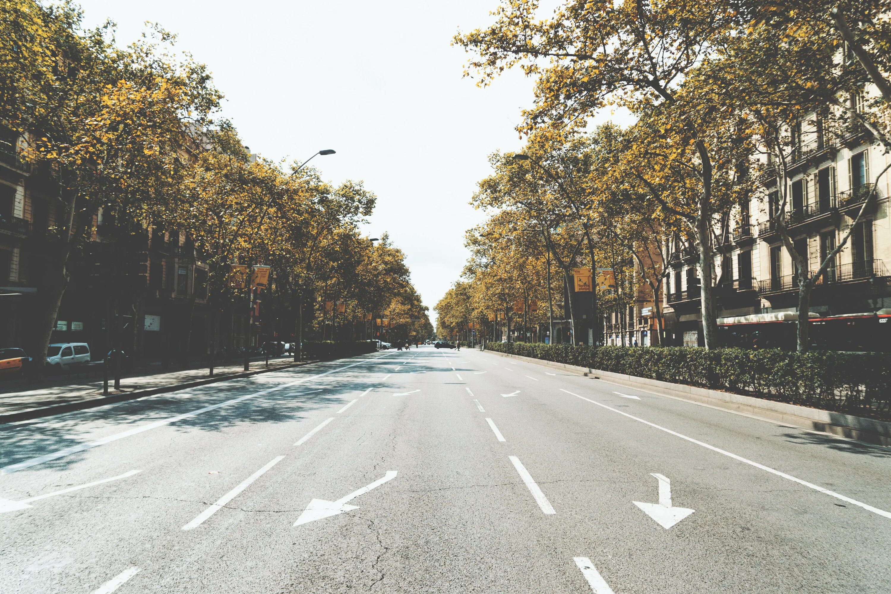 Ep streets