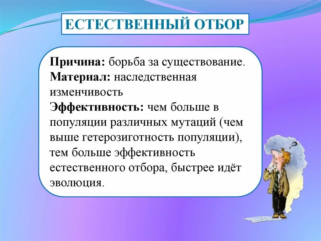 Естественный отбор презентация 9 класс. Причины естественного отбора. Эффективность естественного отбора. Эффективность отбора это в биологии. Предпосылки естественного отбора.