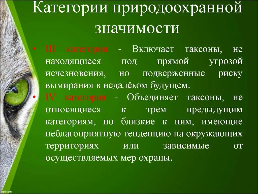 Красная книга республики беларусь животные. Красная книга Республики Беларусь. Значение красной книги РБ. Красная книга Республики Беларусь презентация 2 класс. Что такое таксоны в красной книге.