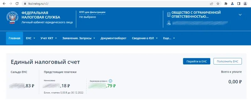 Кабинет юл ифнс. Личный кабинет юр лица ЕНС. ЕНС ФНС. Кабинет Федеральная налоговая служба. Единый налоговый счет.