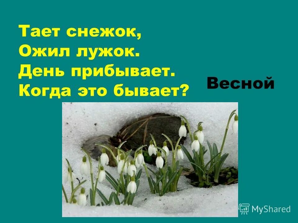 Тает снежок ожил. Рассказ о весне. Небольшие предложения о весне. Маленький рассказ о весне.