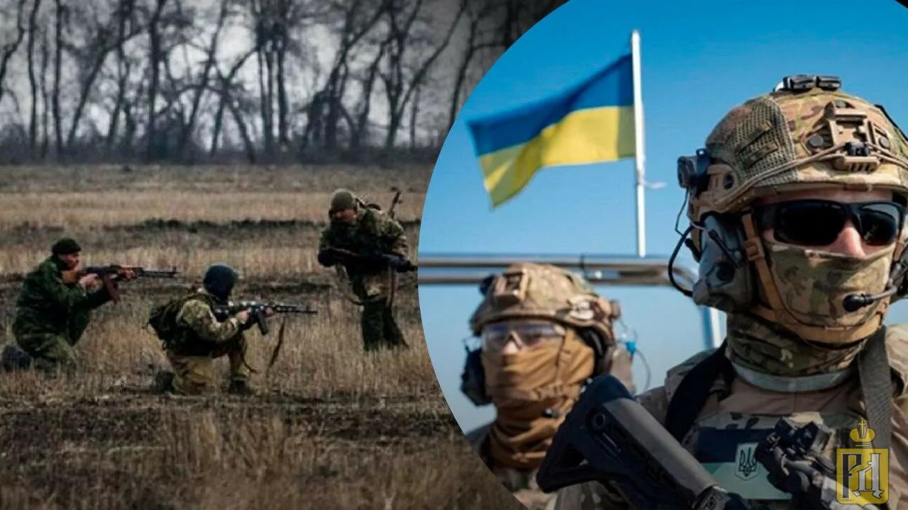 Украинская диверсионная группа. Развед диверсионная группа. Спецназ дрг. Украинская диверсионная группа. Диверсионно-разведывательная группа украины.
