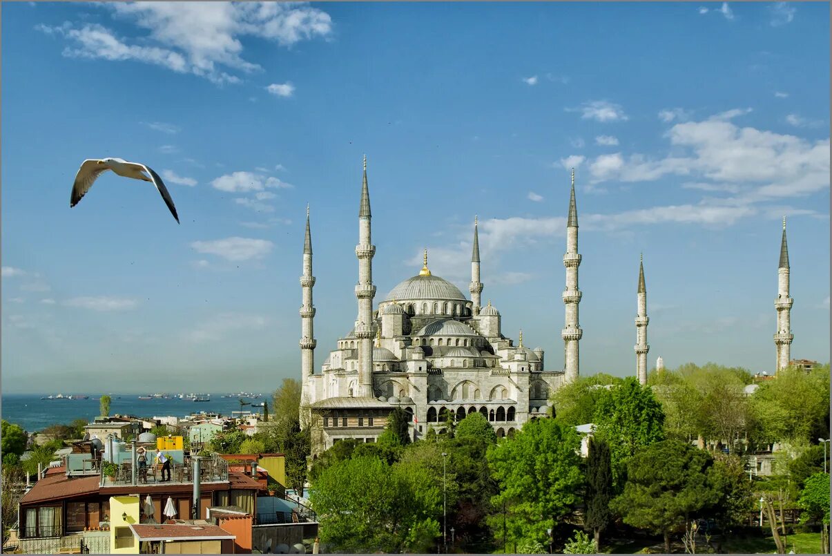 стамбул в мае. туры в стамбул в апреле. султанахмет весной. туры в стамбул в апреле. фото стамбуь апрель.