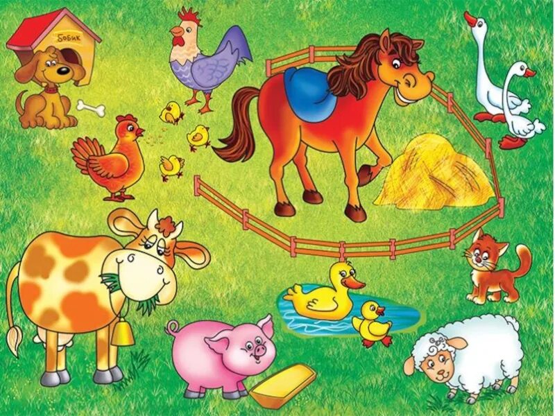 Домашние животные 6 класс. Домашние животные для детей. Иллюстрации с животными для детей. Малыши. Домашние животные. Тема домашние животные.