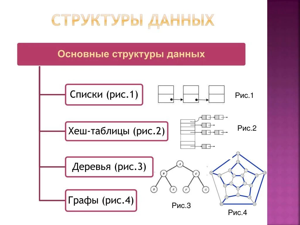 Структуры данных презентация. Структуры данных в программировании. Виды структур данных в информатике. Типовые структуры данных. Основные типы структур данных.