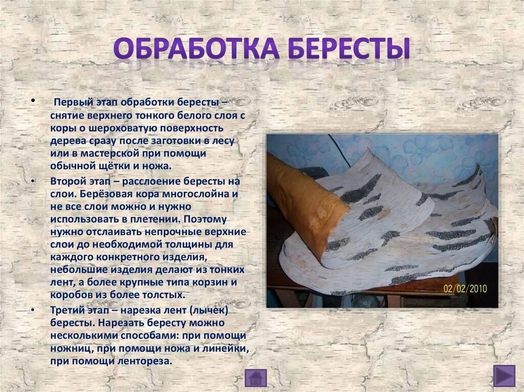Слой березовой коры