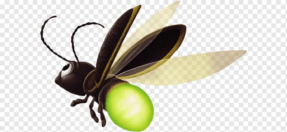 Светлячок без. Светлячок настоящий. Светлячок без. Светлячки мультяшные. Светлячок мультик.