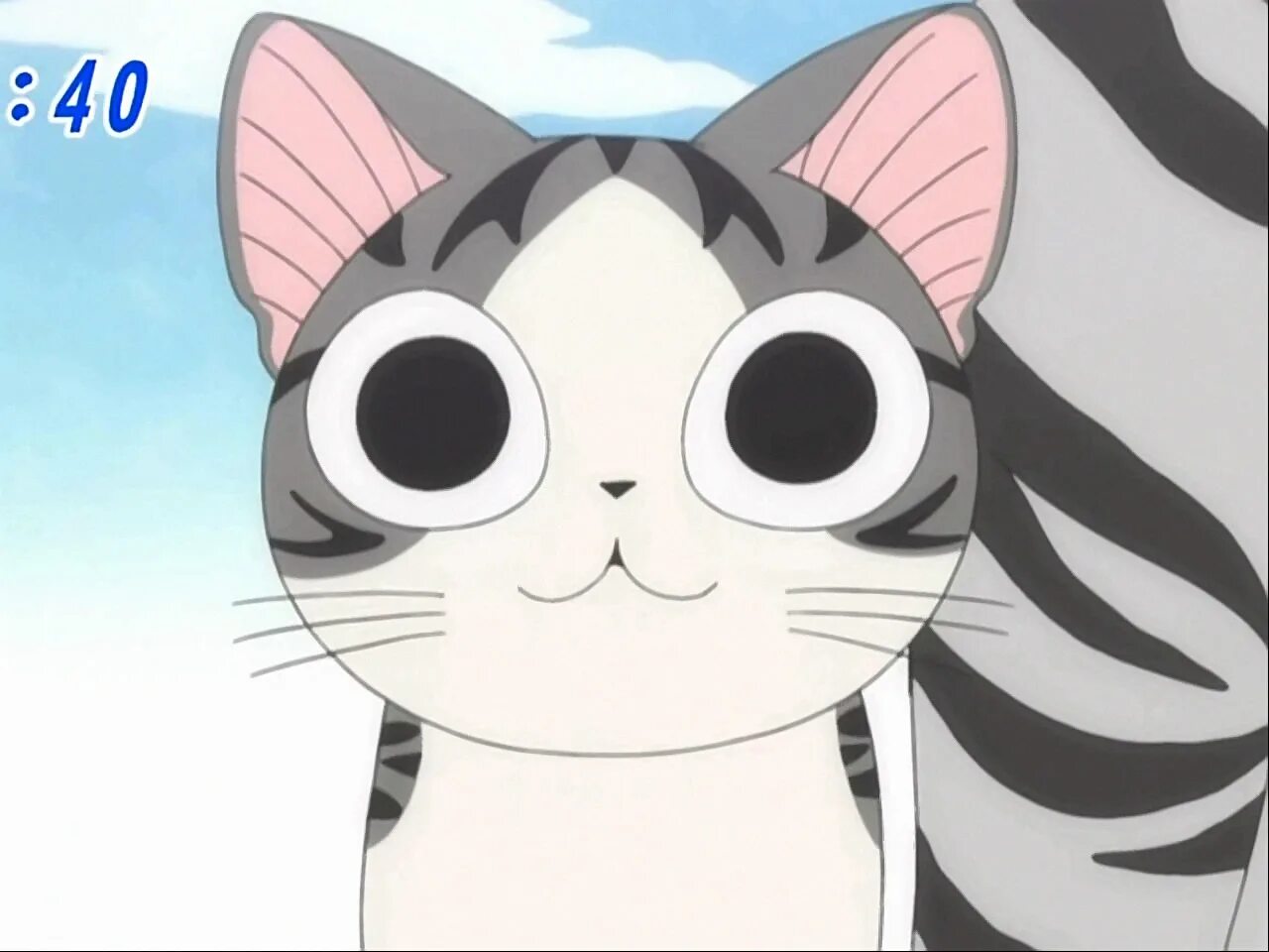 Chi animation