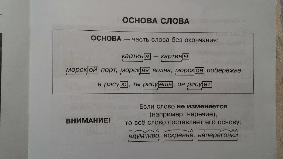 Поздней разбор слова по составу