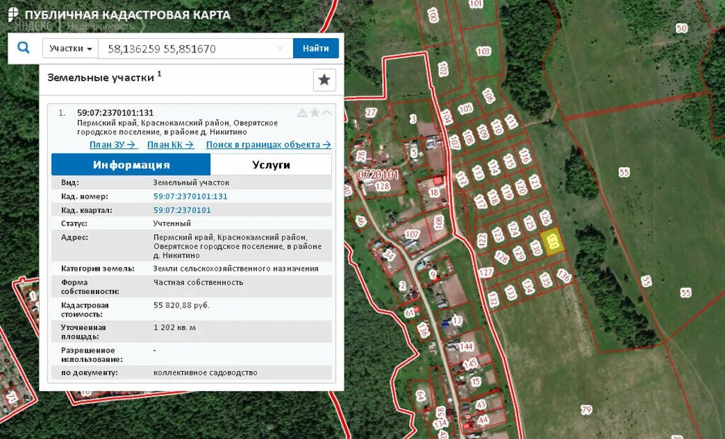 Кадастровая карта росреестра архангельская область. Кадастровая карта. Кадастровые карты земельных участков. Публичная кадастровая карта. Кадастровая карта России.